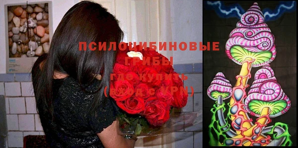 дживик Алексеевка